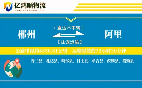 郴州到阿里物流公司