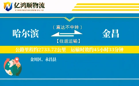 哈尔滨到金昌物流公司