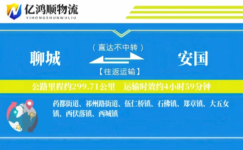 聊城到安国物流公司
