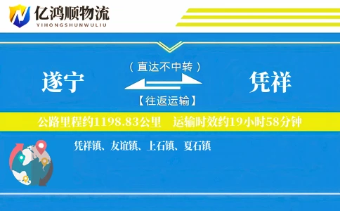 遂宁到凭祥物流公司