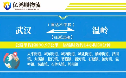 武汉到温岭物流公司