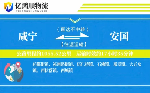 咸宁到安国物流公司