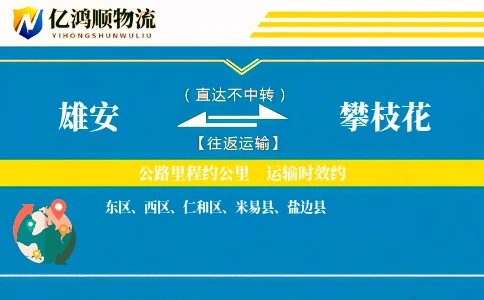 雄安到攀枝花物流公司