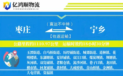 枣庄到宁乡物流公司